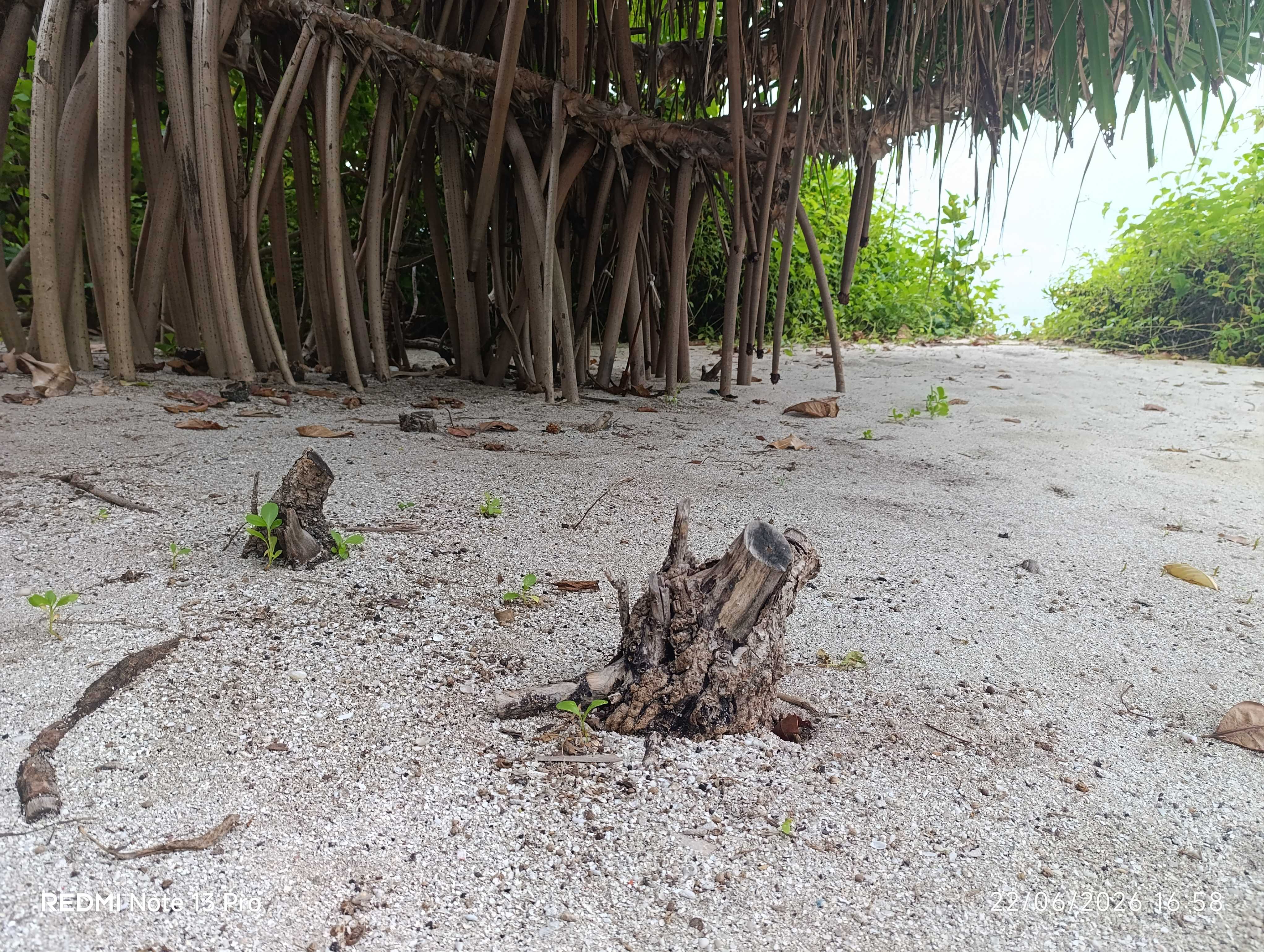 ރަށްވެހި ތުޅާދޫ 