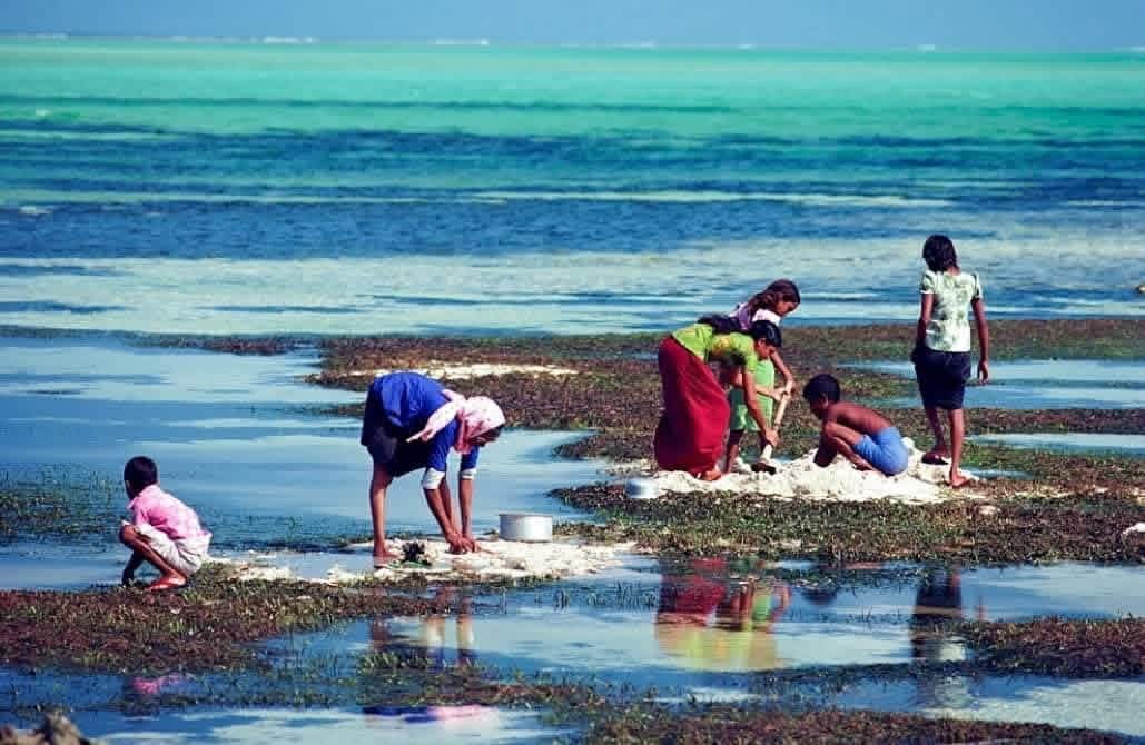 ރަށްވެހި ތުޅާދޫ 